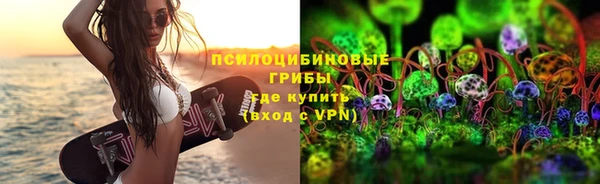 амф Алексин