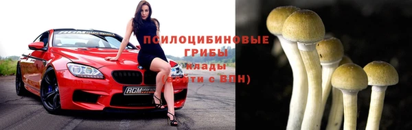 бошки Покров